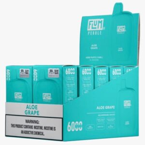 Flum Pebble Aloe Grape 6000 puffs (10 pack)