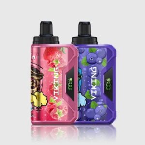 VapSolo VIKING 12000 Puffs – Pack 2 items