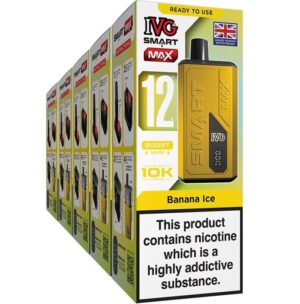 IMG_8164.jpeg IVG Smart Max pod vape kit 5-pack