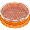 Dosing Capsule Filling Set